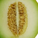 lemondropsout avatar