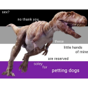 lemonflavouredspatula avatar