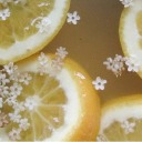 lemongrass-and-daydreams avatar