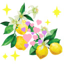 lemonlovelies avatar