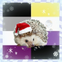 lemonn-cookie avatar