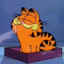 lemonsharkbite avatar