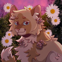 lemonstars-cat-blog avatar