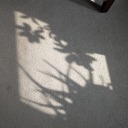 lemonthistlepennywhistl3 avatar