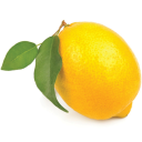 lemontrash13 avatar