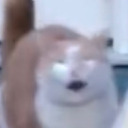 lemonz-and-limez avatar