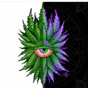 lemroc81-blog avatar