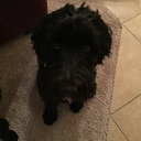 lena-zinit-lou avatar