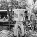 lenascornerofchaos avatar