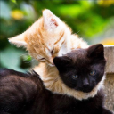 lenatheartist avatar