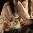 lenguitasdemiau avatar