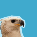 lenkagamine133 avatar