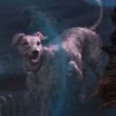 lennie-is-gay avatar