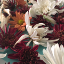 lennonluvs-blog avatar