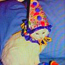 lennys-rotary-park avatar