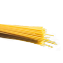 lentospagetti avatar