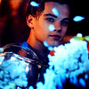 leo-dicaprihoe avatar