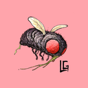 leoisnotaturtle avatar