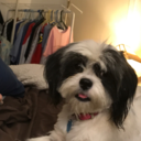 leonardkolesar avatar