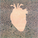 leonardo9908-blog avatar