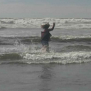 leonathepastelprincess avatar