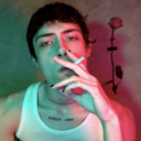 leonilaverite avatar