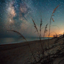 leopardchic79 avatar