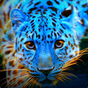 leopardsixteen avatar