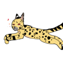 leopardthorn avatar