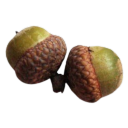 leosuntaurusmoon avatar