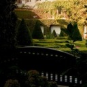 leothesnowball avatar