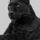 lepantherism avatar