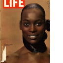 leplaisirestlemien avatar