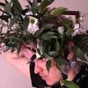 lepus-leporidae avatar