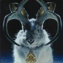 lepus-of-frith avatar