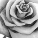 les-joues-rosees avatar