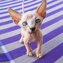 lesajulia-blog avatar