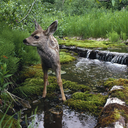 lesbeteslontmange-blog avatar