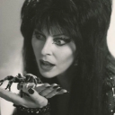 lesbian-at-her-limit avatar