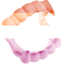 lesbian-vampire-offical avatar