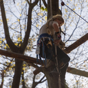 lesbian-who-climbs-in-trees avatar