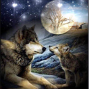 lesbian319-blog avatar