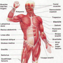 lesbianatitsfinest avatar