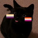 lesbianblackcat avatar