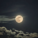 lesbiancheese911 avatar