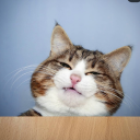 lesbiancoward avatar