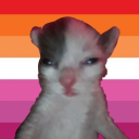 lesbiankatt avatar