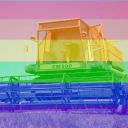 lesbiankombajn avatar