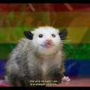 lesbianopossumfriend avatar