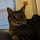 lesbianpalamedes avatar